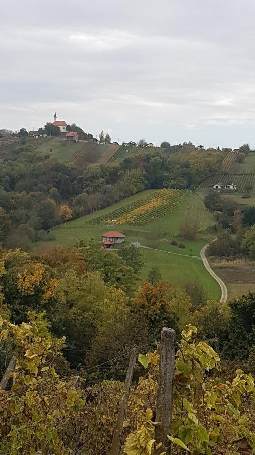 Kuca Za Odmor Nina Sveti Martin Na Muri Exterior foto